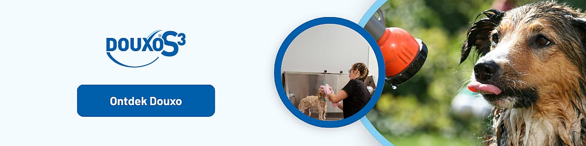 Fotografie, Hond, Bol, Persoon, Fotografie, Hond, Bol, Persoon